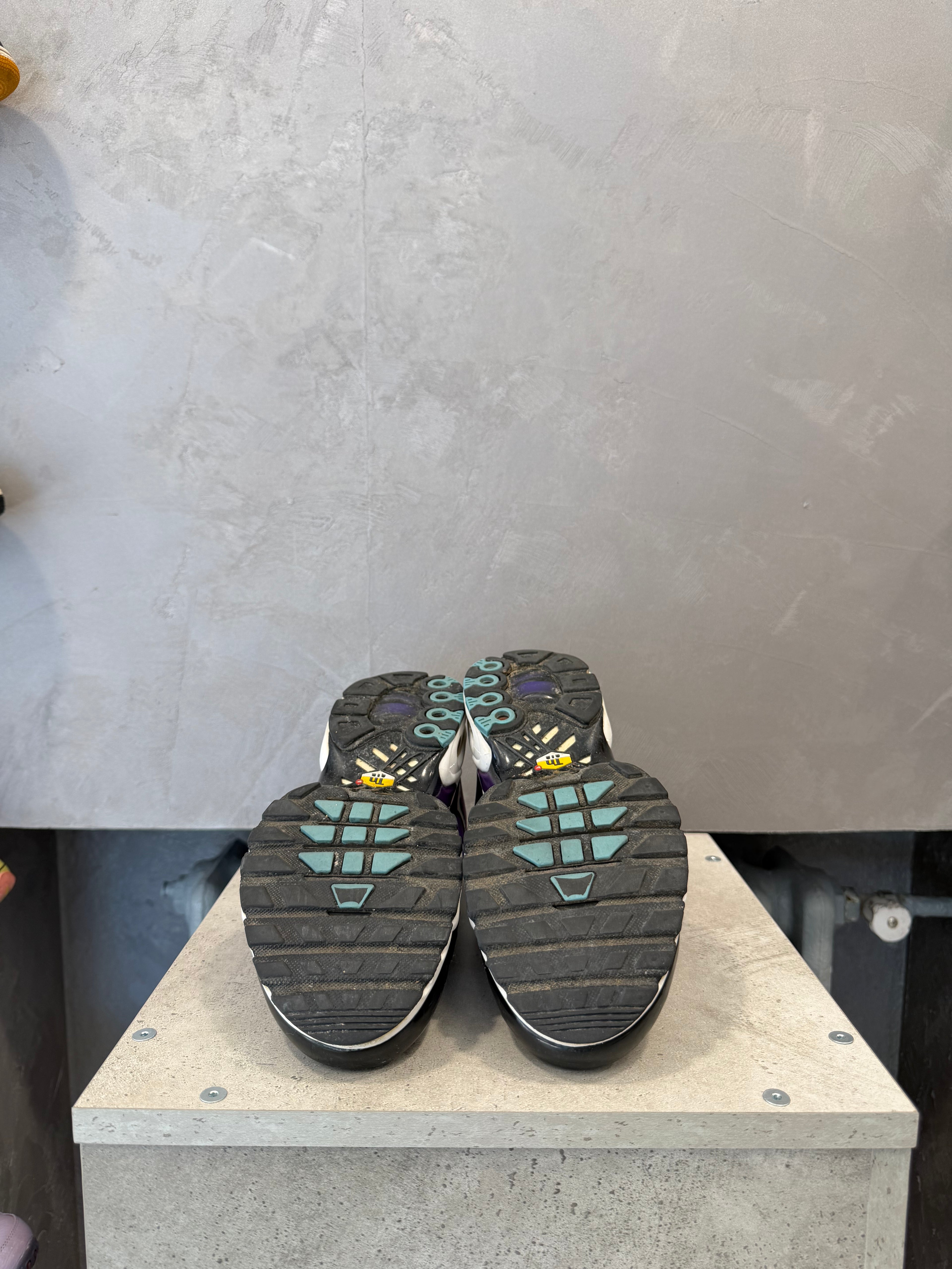 Nike Air Max Plus Reverse Grape (40,5 EU)