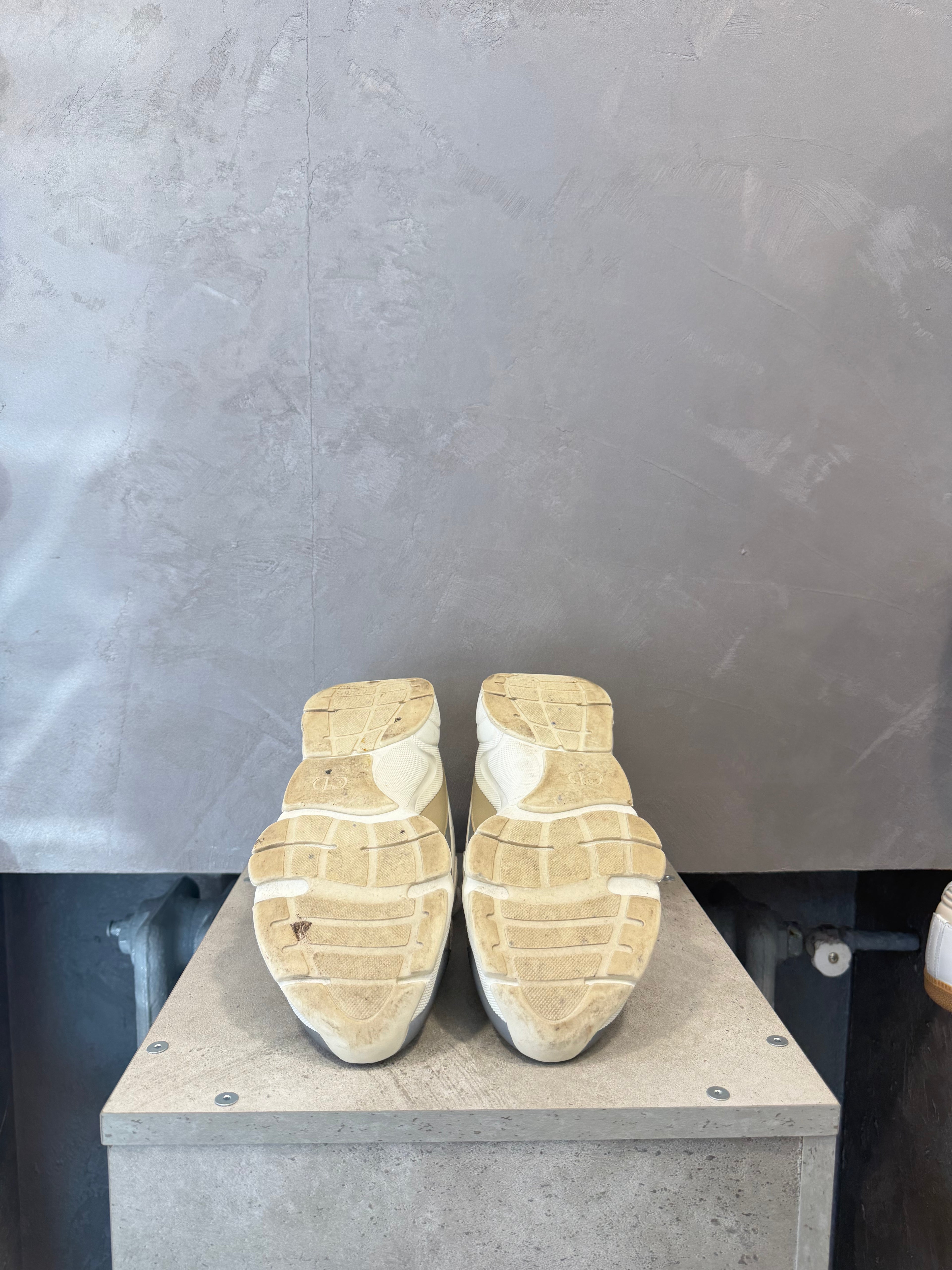 Dior B22 White Beige (41 EU)