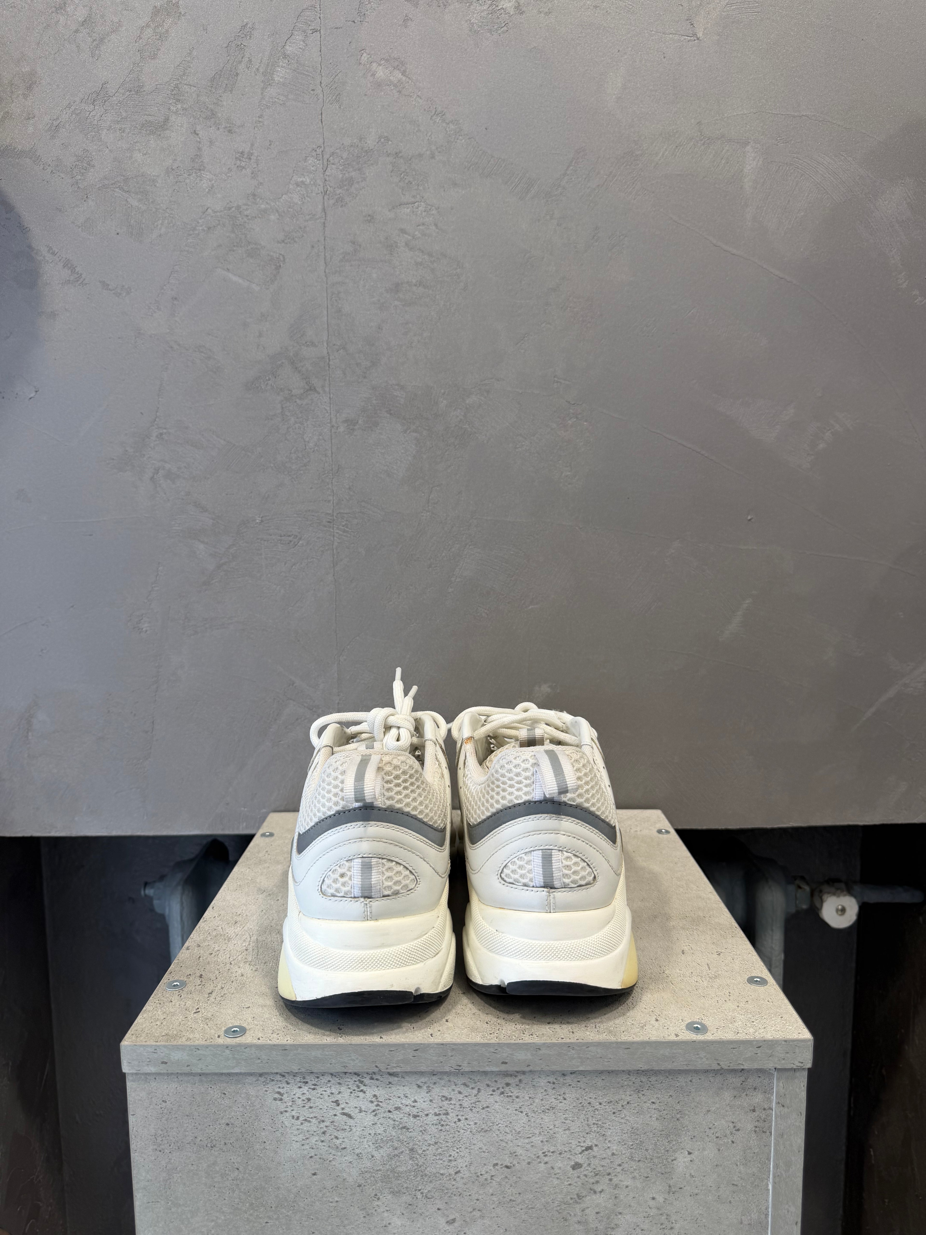 Dior B22 White Silver (42 EU)